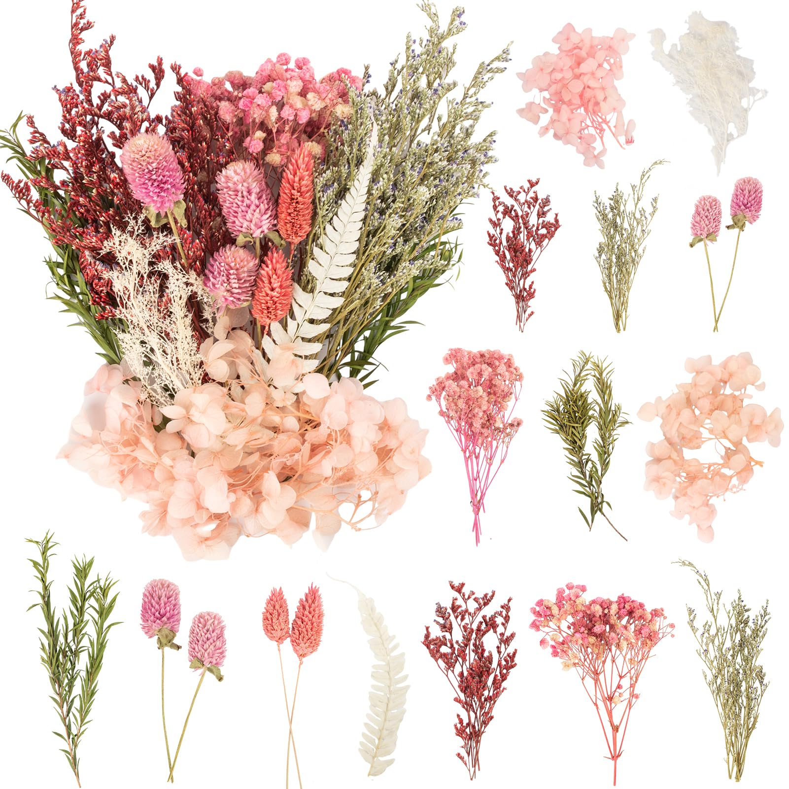 LAUMOE Getrocknete Blumen,Trockenblumen Zum Basteln Mini Trockenblumen Set für DIY Epoxidharz Scrapbook Zubehör Handgemachte Heimdekoration Hochzeit (Rosa)