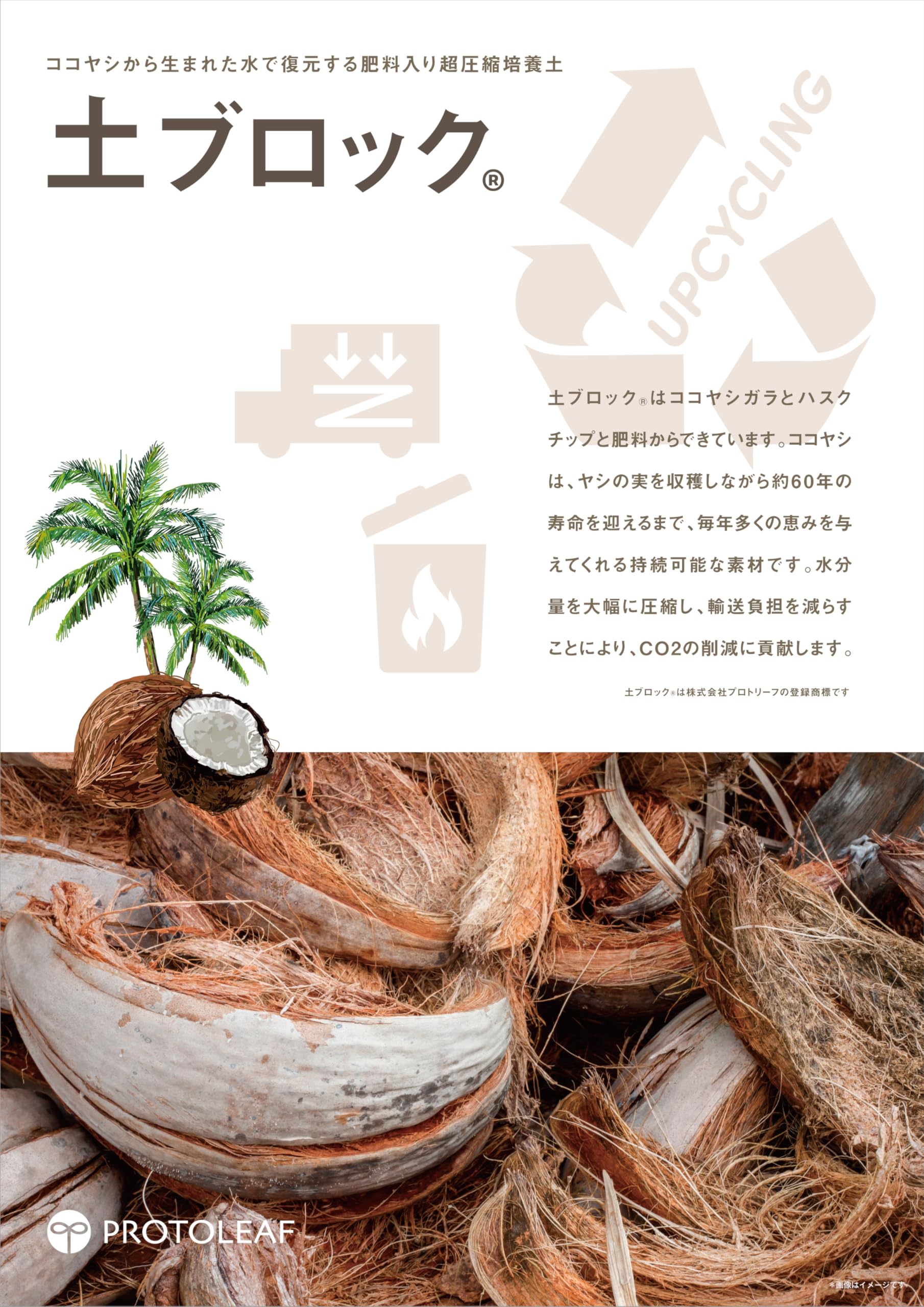 Amazon | プロトリーフ PROTOLEAF 土ブロック 8Lディスク | 用土