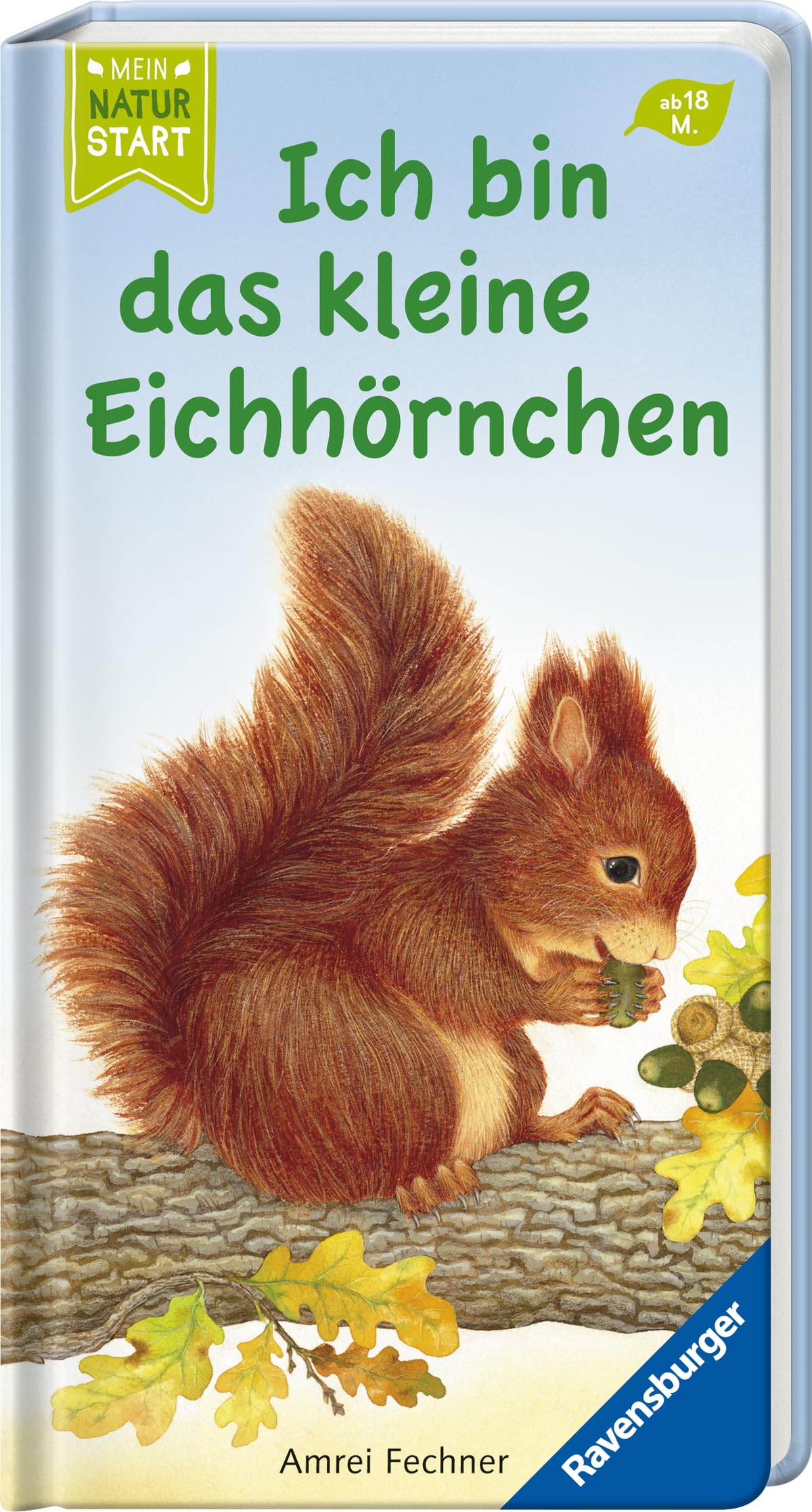 Ich bin das kleine Eichhörnchen