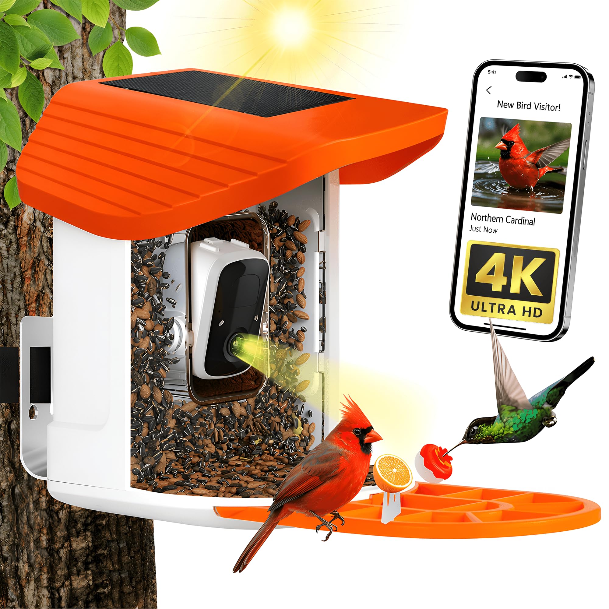 Upgraded Solar Bird Feeder with Camera 4k QHD & Night Vision, 145° Wide Angle Smart Bird Feeder with App, 11,000+ AI Bird Recognition, Squirrel Proof Hanging Bird Feeder Station 1.6L for Garden