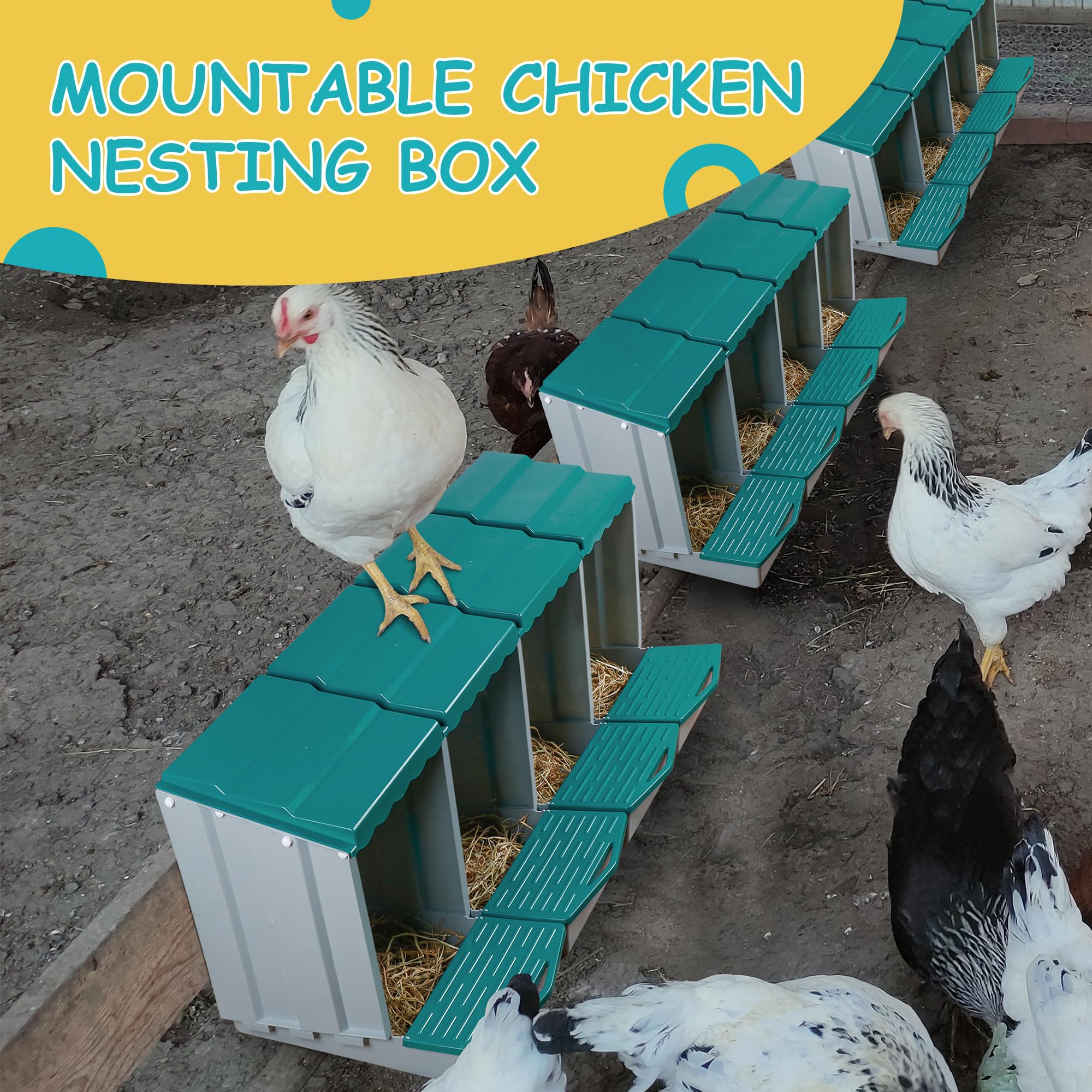 Nesting Box Material Removable Compartment Nesting Box 4 Compartment Chicken Nesting Box ...