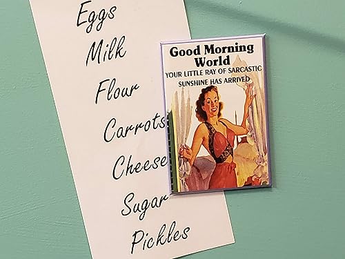 Miniatura 4 de Baldfrog Images Good Morning World Your Little Ray of Sarcastic Sunshine has Arrived - Imán de nevera de 2 x 3 pulgadas, diseño vintage, regalo de