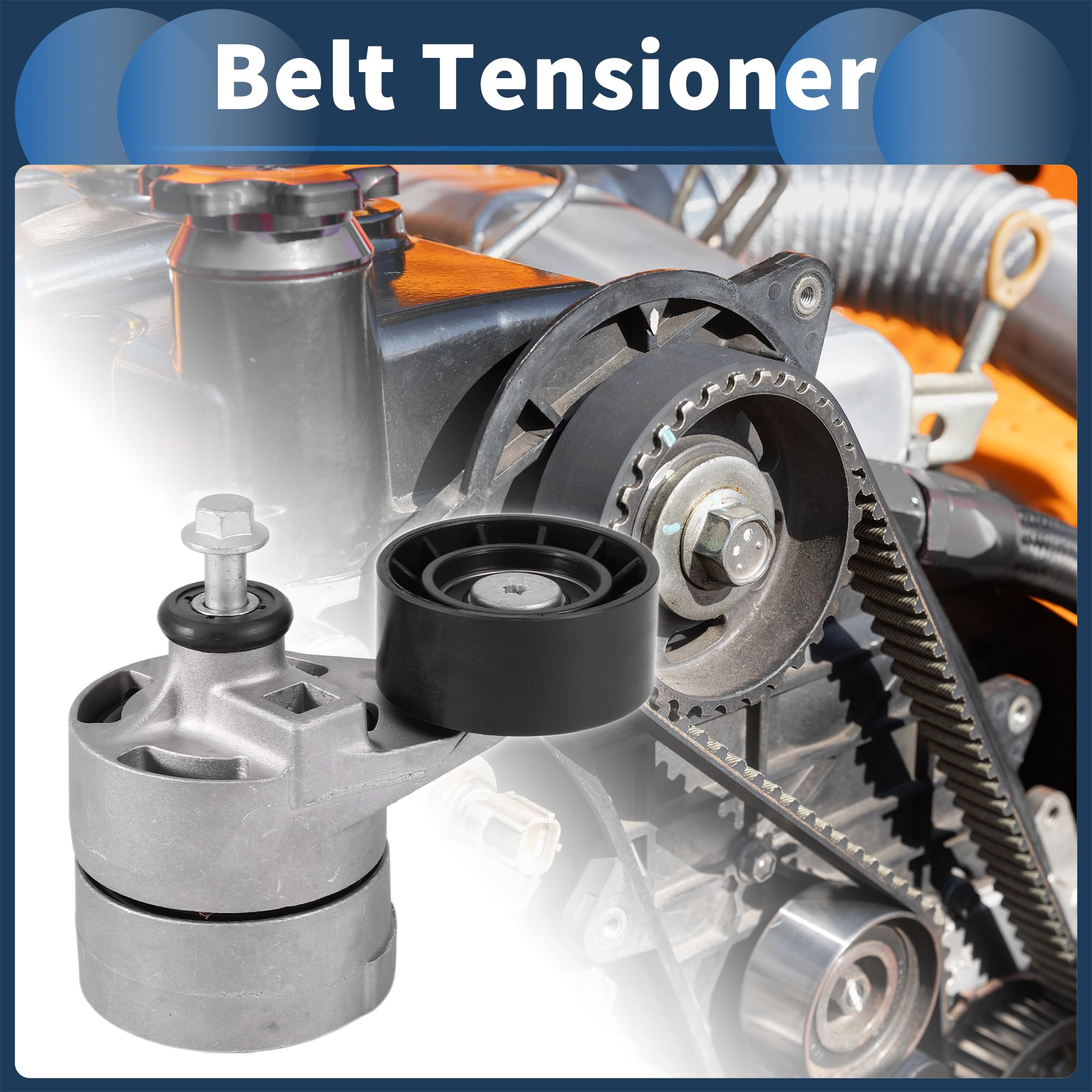 Tensor De Correa Montaje Para FORD Transit 2.4 06-14 1 Pc