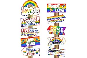 20-Piece LGBTQ Christmas Decorations: Let Love Shine!