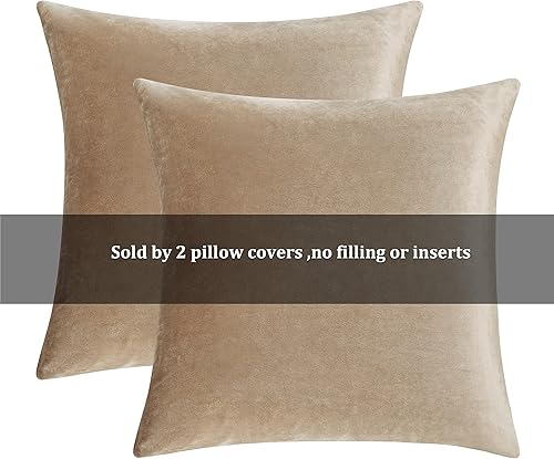 Vista 100 de GIGIZAZA - Juego de 2 fundas de almohada decorativas de 18 x 18 pulgadas, fundas de almohada cuadradas de terciopelo verde azulado pavo real