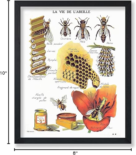 Miniatura 7 de Poster Master Póster vintage de miel, impresión retro de La Vie De L'Abeille, arte de panal de abeja, arte de pared de abeja, regalo para hombres y