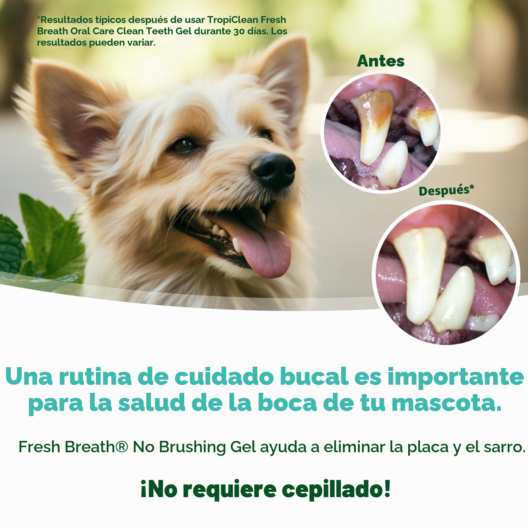 Fresh Breath by TropiClean - Gel de Cuidado Bucal para Perros, Mascotas, Gatos - Sin Cepillado - Ayuda a Eliminar la Placa, el Sarro y la Enfermedad Gingival - Original - 59 ml
