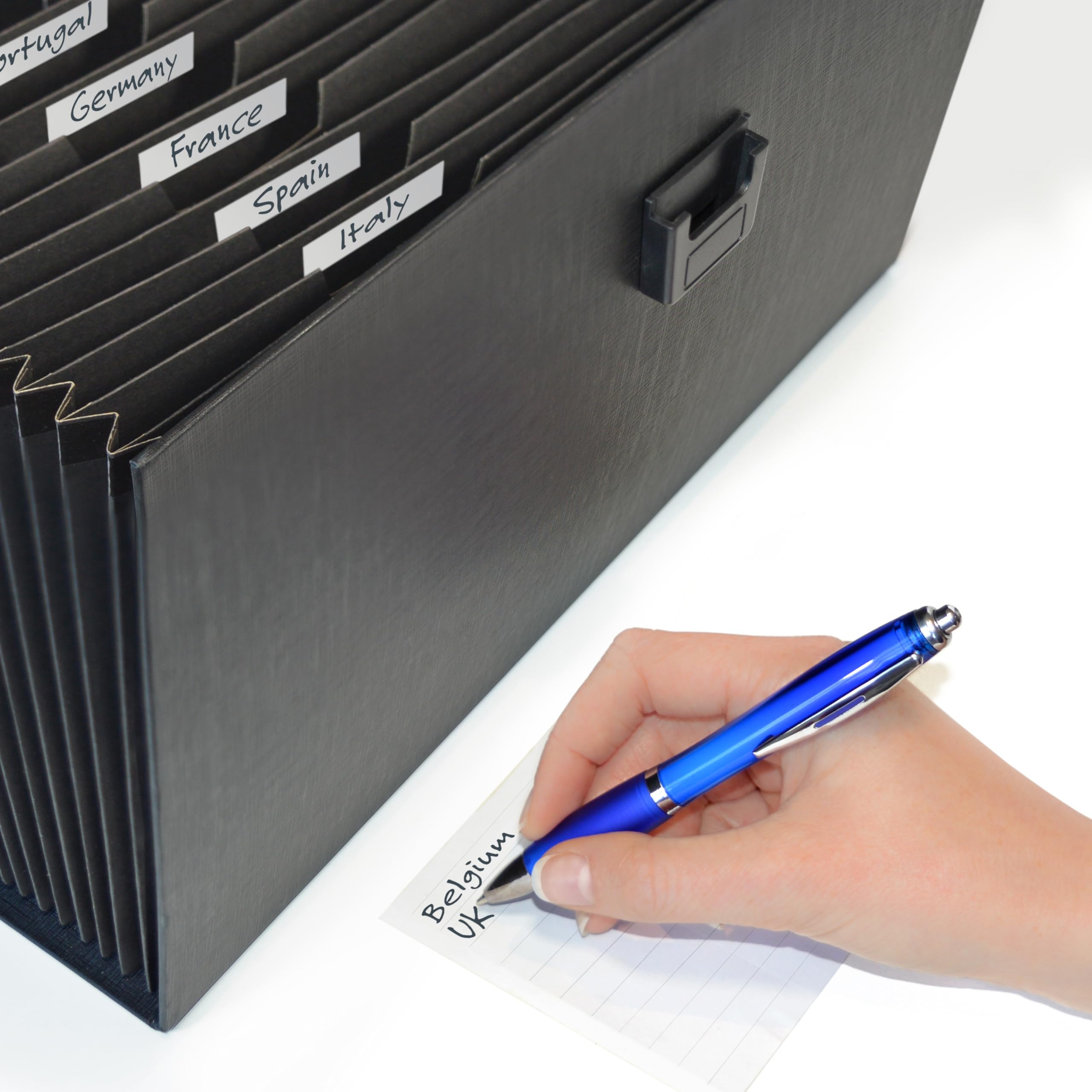 Rapesco 1555 Maletín Organizador Expandible Acordeón, 19 Compartimientos, A4+, Negro