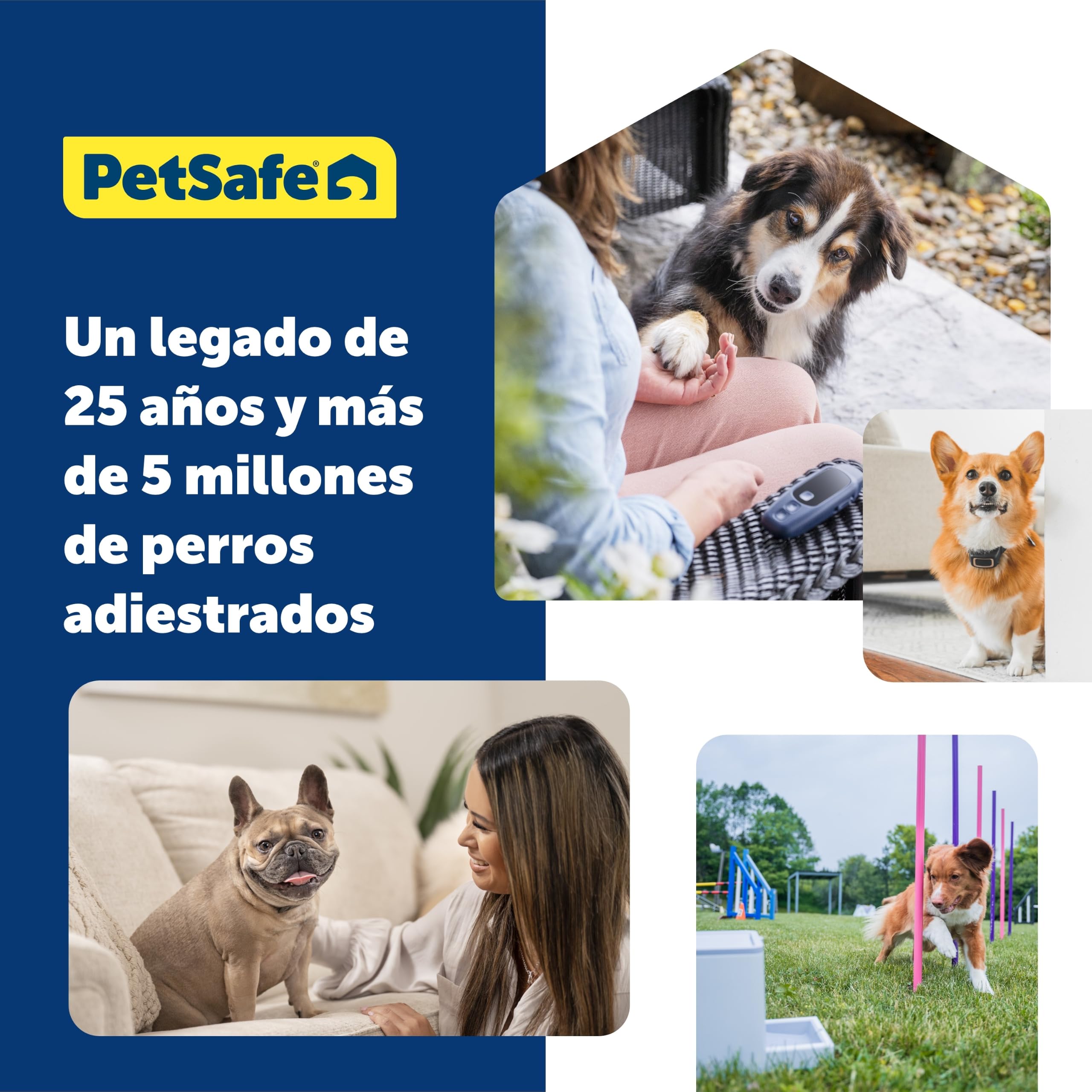 PetSafe Teach & Treat – Adiestrador con Mando de Recompensa, Dispositivo de Entrenamiento de Recompensas, Entrenamiento con Control Remoto, Refuerzo Positivo para Perros, Dispensador de Prem