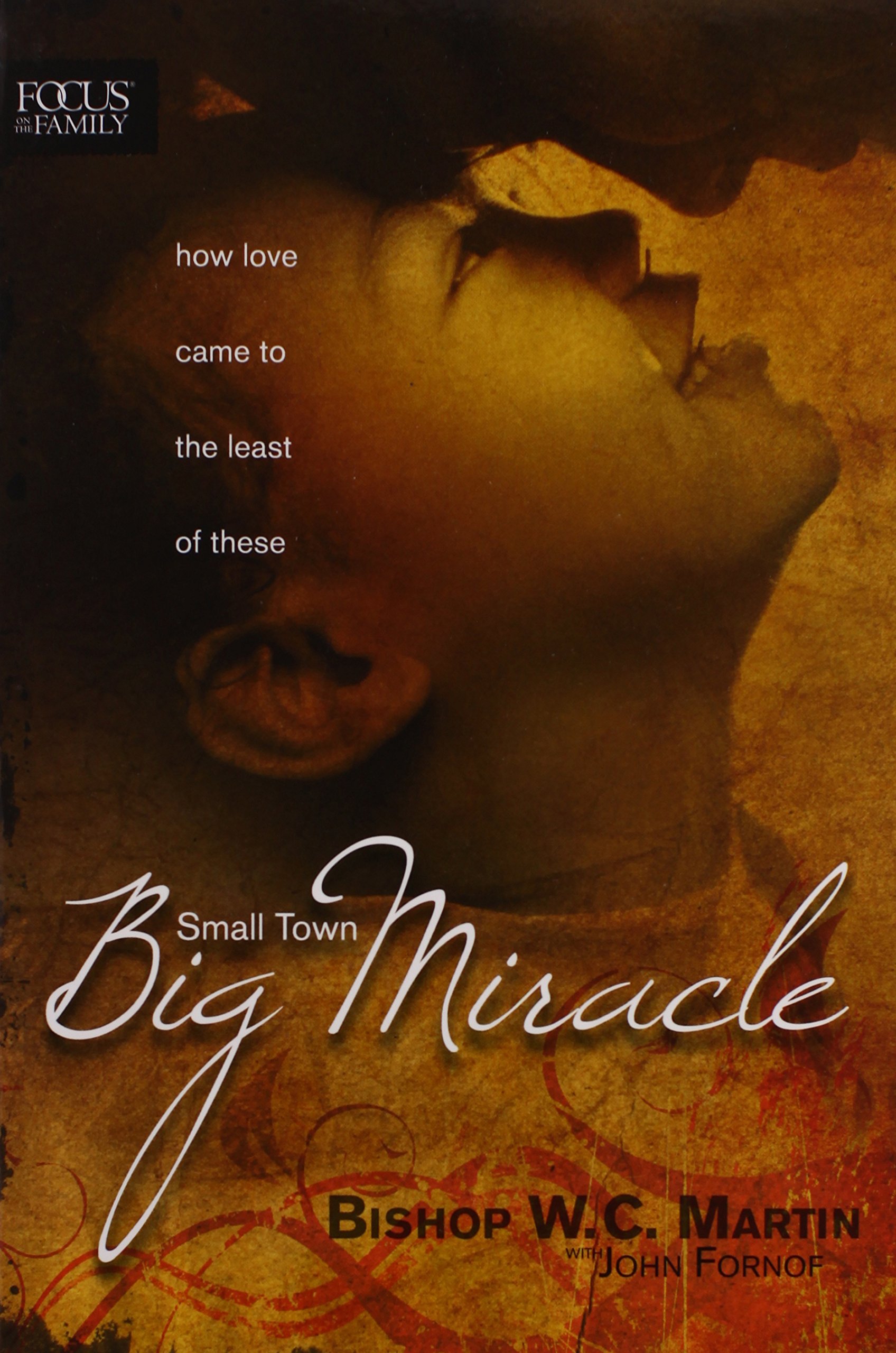 Small Town, Big Miracle: How Love Came to the Least of These [Paperback] Martin, W. C.