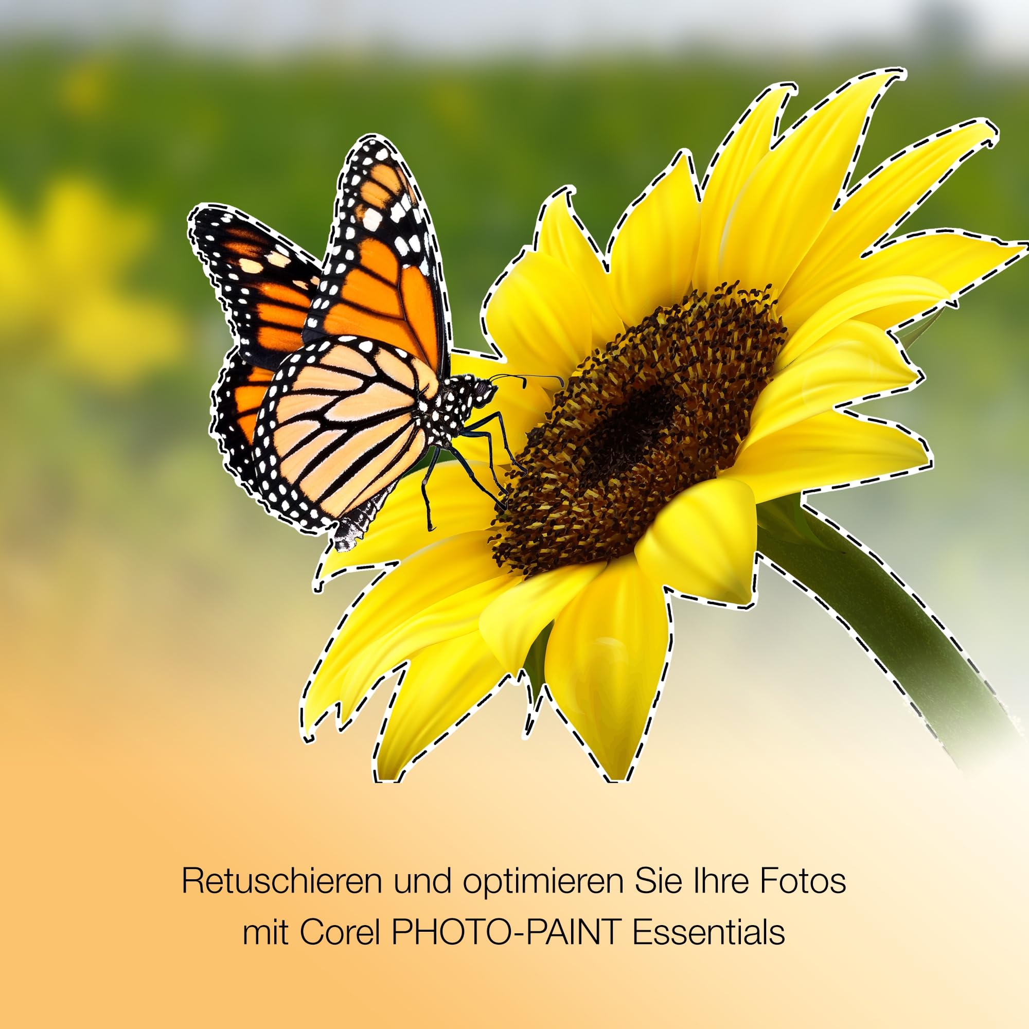 Corel CorelDRAW Essentials 2024, 1 Gerät, Postzustellung
