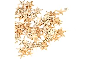 Decorative Starfish: A Marine Marvel for Embellishing Your Spaces