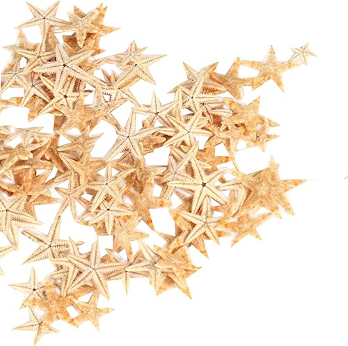 Ogrmar Estrella de mar pequeña estrella mar concha playa artesanía 0.4"-1.2" 90 piezas