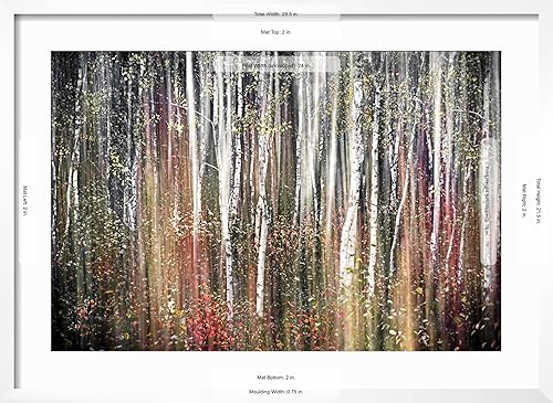 Miniatura 43 de ART.COM Lienzo decorativo para pared, diseño de otoño rosa, de Ursula Abresch, decoración escénica, 18 x 12 pulgadas Lienzo estirado