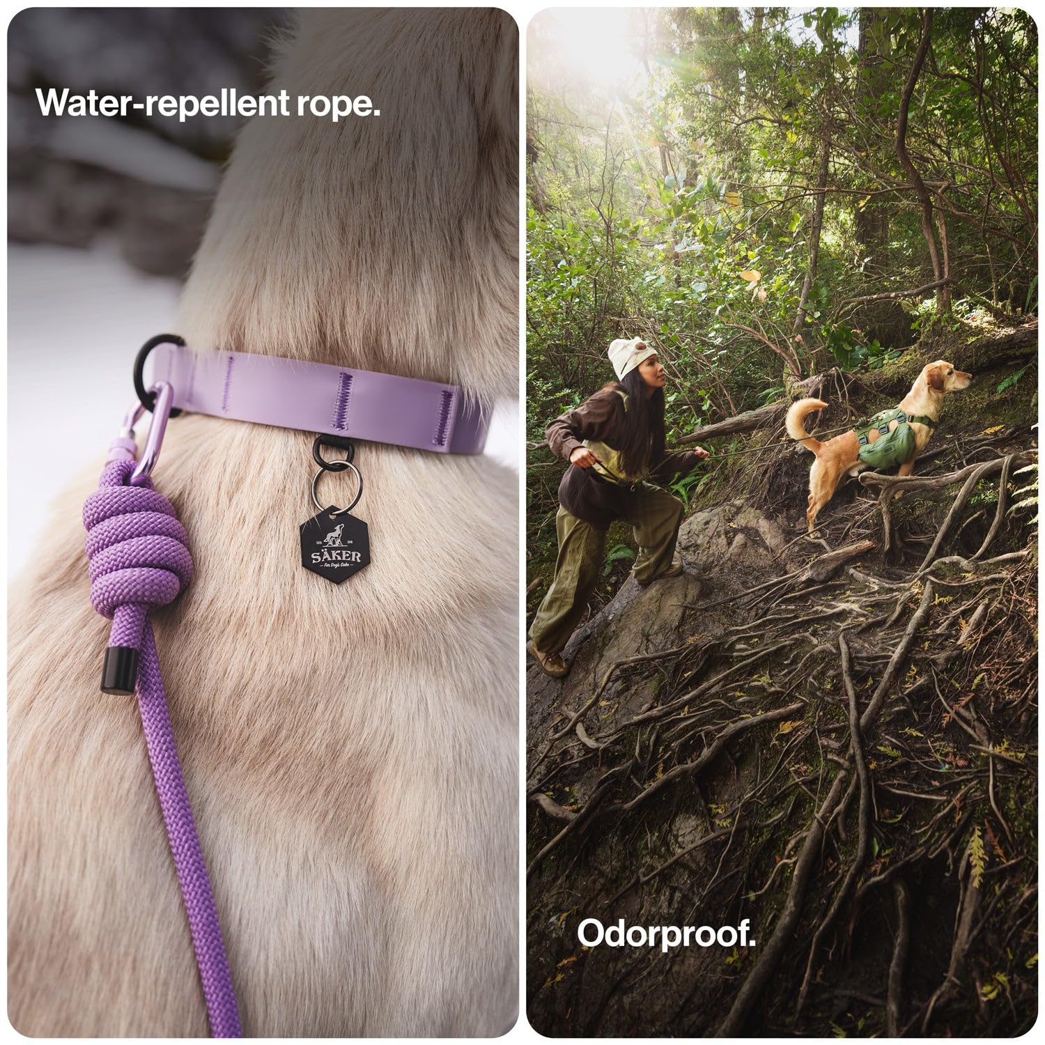 Amazon.com : Säker Trust™ Rope Dog Leash – 61” Climbing Rope Lead