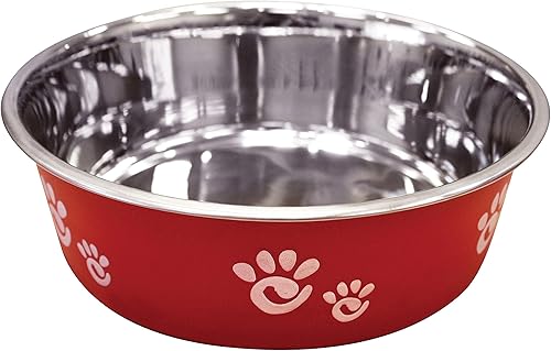 Ethical Pet Barcelona - Plato mate y de acero inoxidable para mascotas, 64 onzas, frambuesa