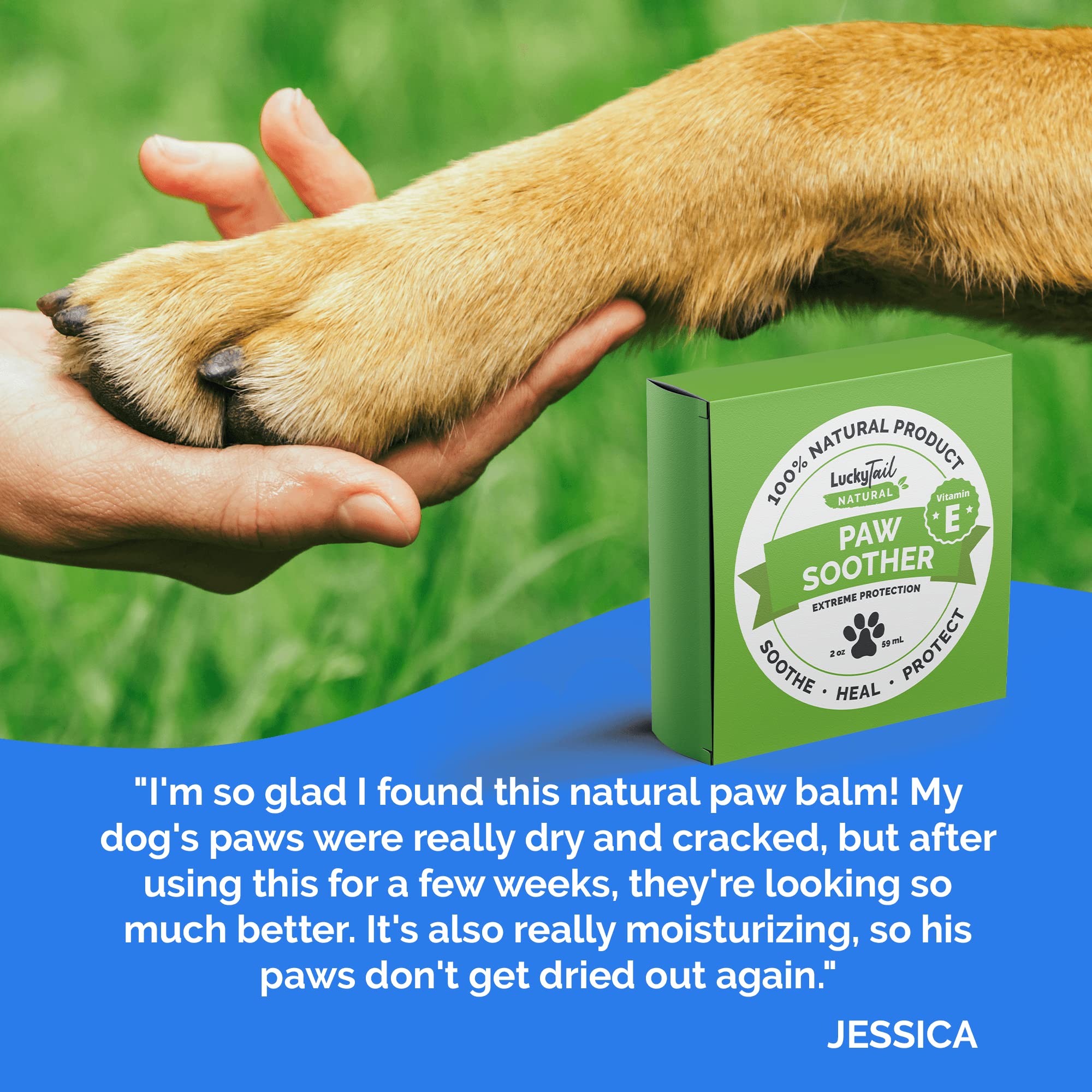 Why Are My Dogs Paws So Dry And Rough