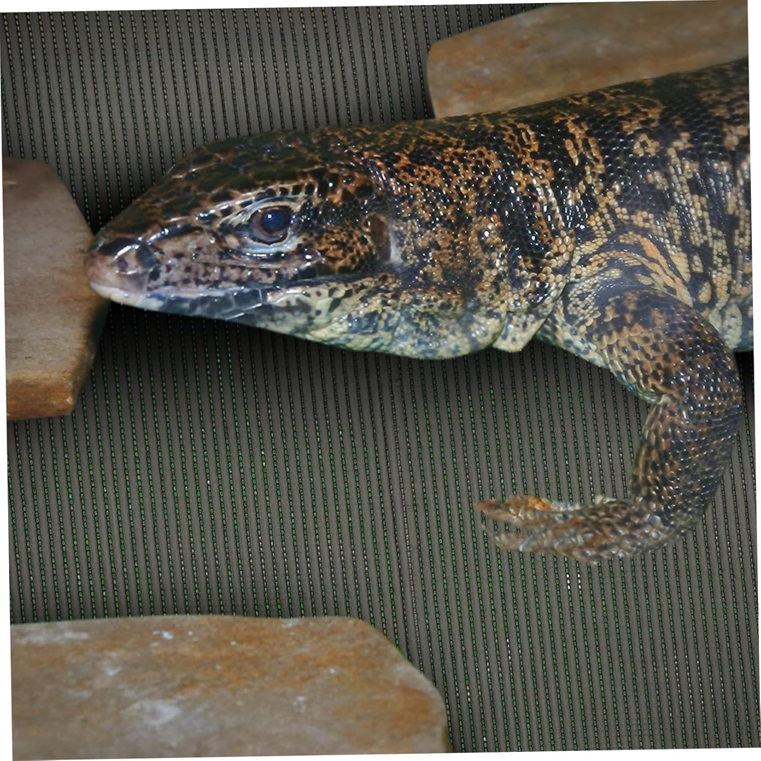 Waterproof Reptile Carpet Mat 3-in-1 Humidity Retaining and Water-Resistant Bedding for Turtles Lizards and Snakes for Reptile Terrariums and Cages