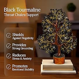 YATSKIA Black Tourmaline Crystal Tree, Gemstone Tree Home Office Decor, Spiritual Decor, Crystal Gifts