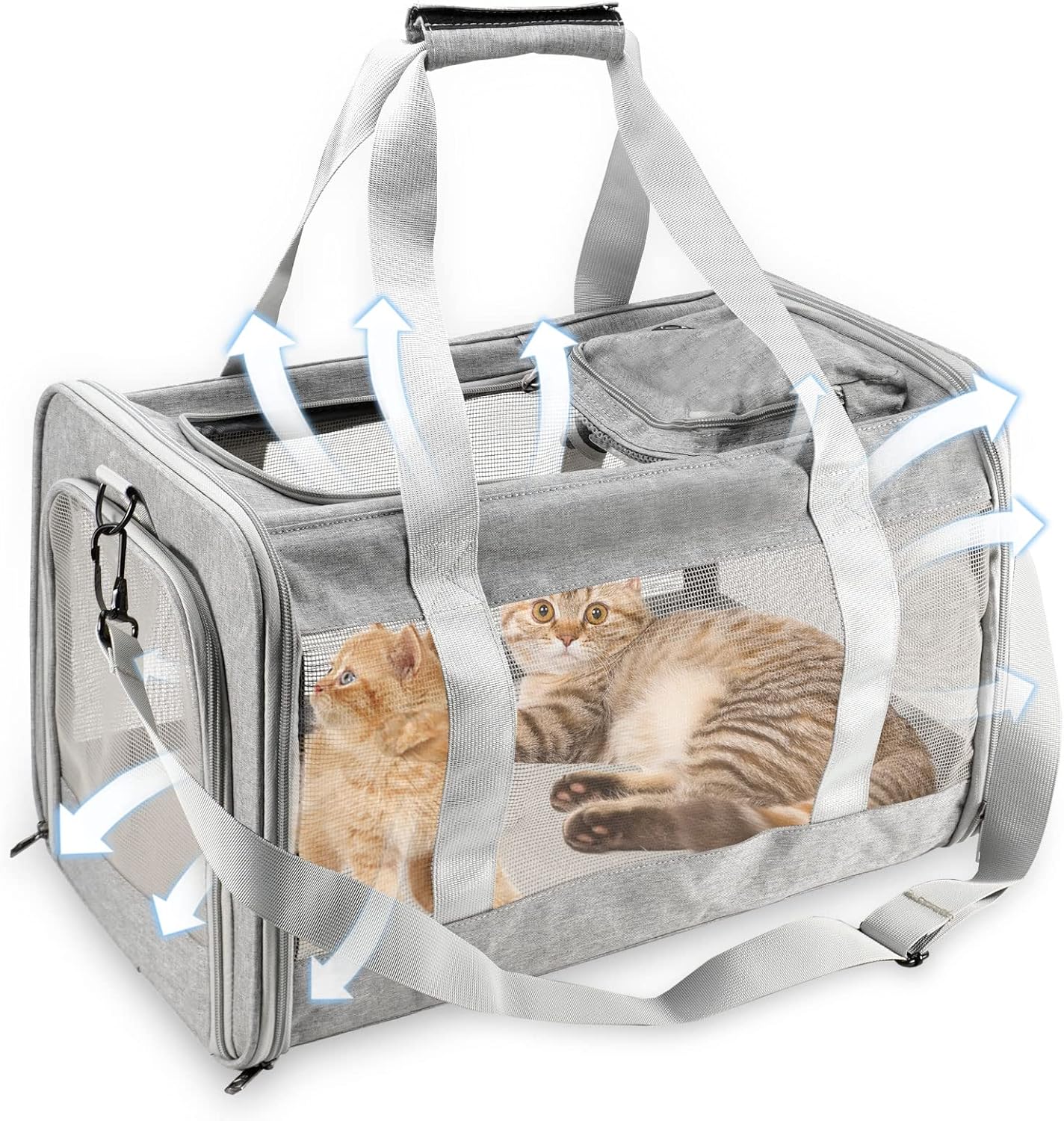 Pet Carrier Airline Approved Small Medium Collapsible Cat