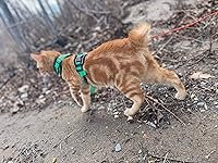 Review Image by Katie