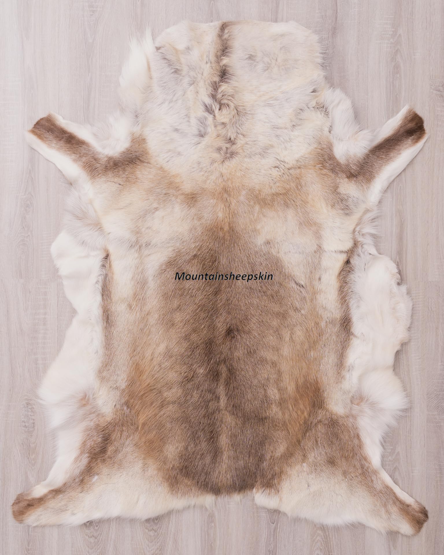 Giant Exclusive Scandinavian Reindeer Natural, Skin Hide Rug, Caribou Hide, Prime Quality 100% Leather, Rentier Hygge (130cm)