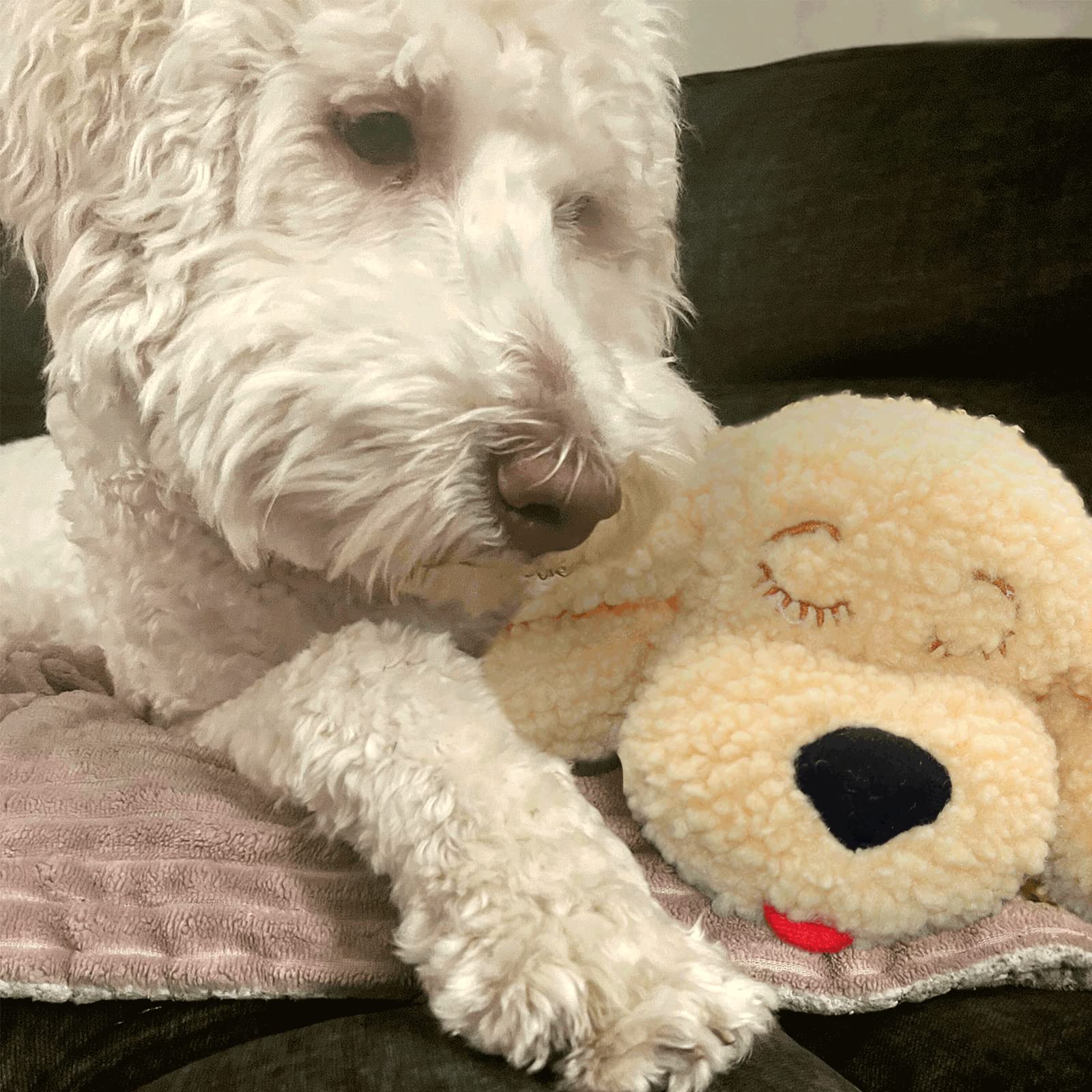 Snuggle Puppy Plus Dog Toys with 3 Heat Packs & New Motion Activated RealFeel Heartbeat. Puppy Toys for Anxiety Relief Calming Aid - Image 4