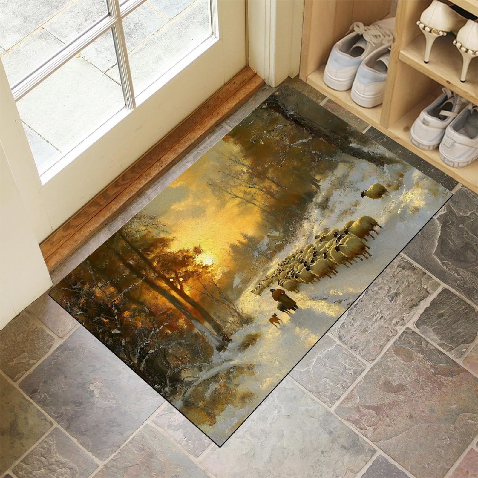 Paillasson exterieur antiderapant 50x80 cm absorbant pour tapis de porte entree maison jardin