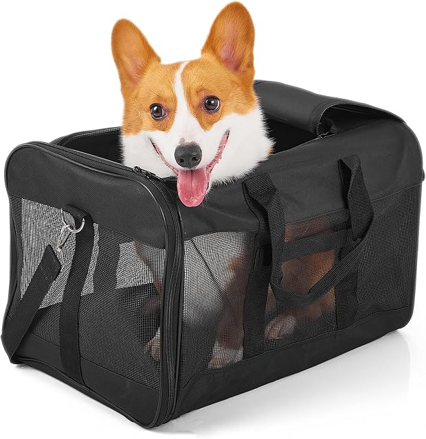 HITSLAM Pet Carrier Dog Carrier Soft Sided Pet Travel Carrier for Cats, Small dogs, Kittens or Puppies, Collapsible, Durable, Airline Approved, Travel Friendly Black (L)