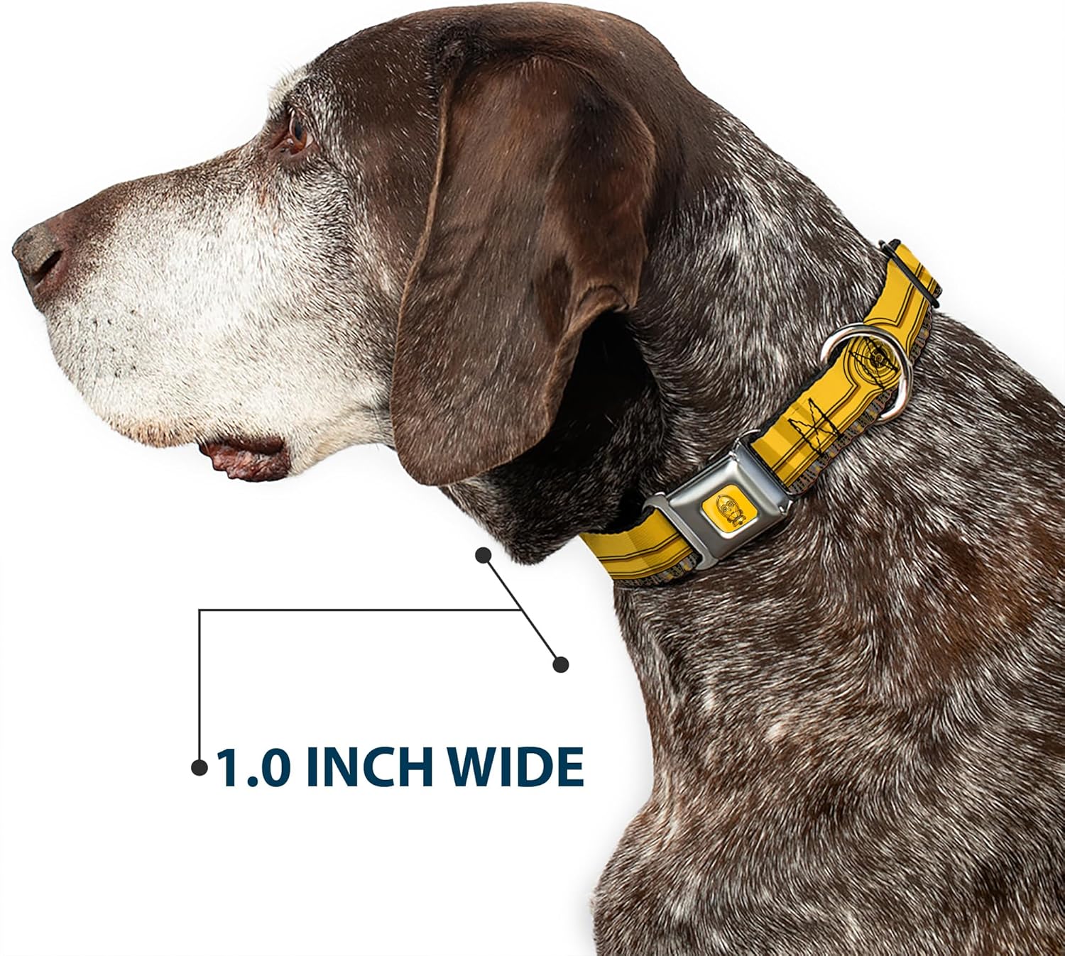Star Wars Pet Collar, Dog Collar Metal Seatbelt Buckle, Star Wars C3PO Wires Bounding Yellows Black Multi Color, 15 to 24 Inches 1.0 Inch Wide