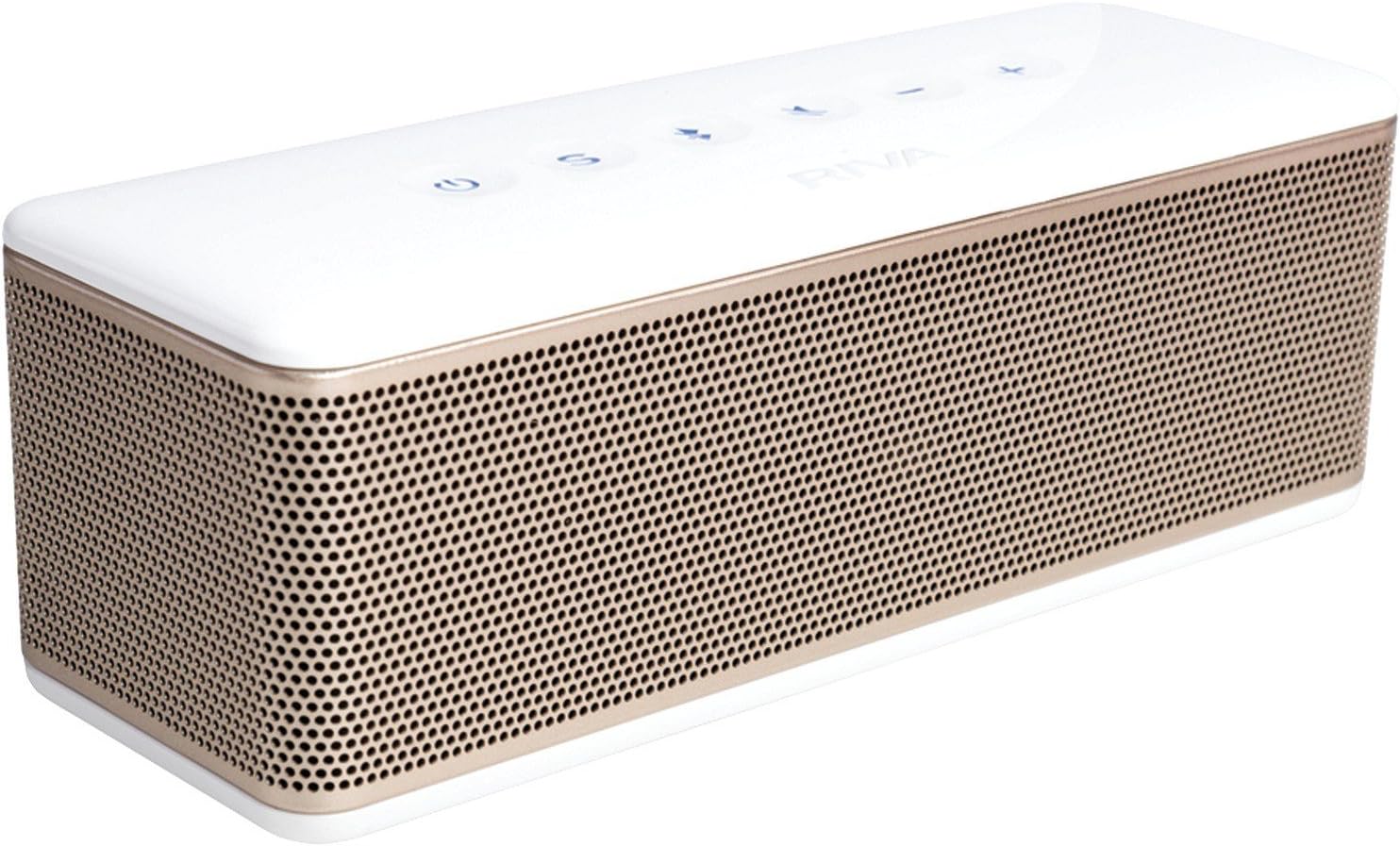 RIVA S RTS01G Premium Bluetooth Speaker