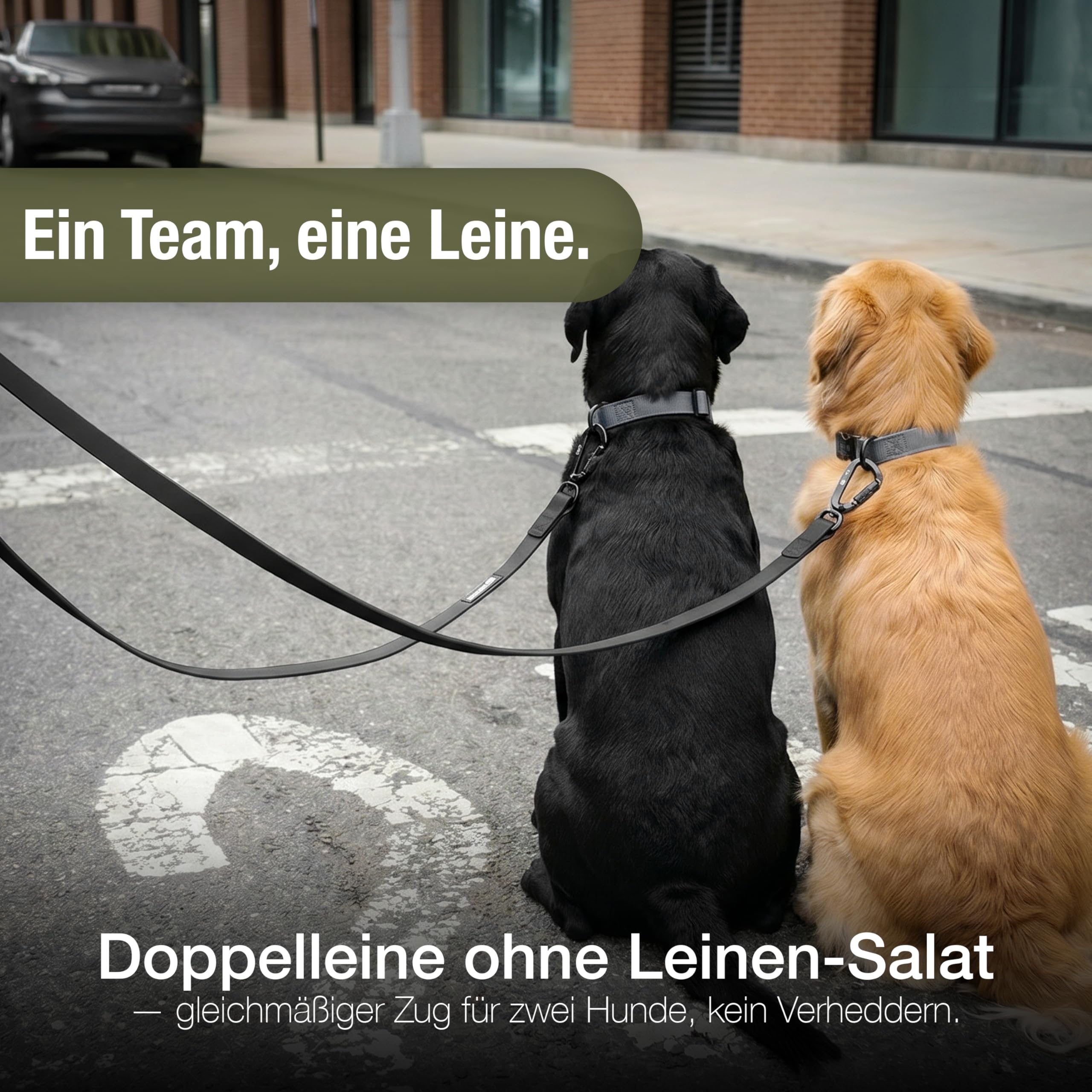 Wasserfeste Hundeleine 3m, Wetterfestes PVC & 2 Starke 360° Aluminium Sicherheitskarabiner, Verstellbare Doppelleine für 2 Hunde, Freihand-Leine zum Umhängen, Schmutzabweisend, Farbe:Schwarz