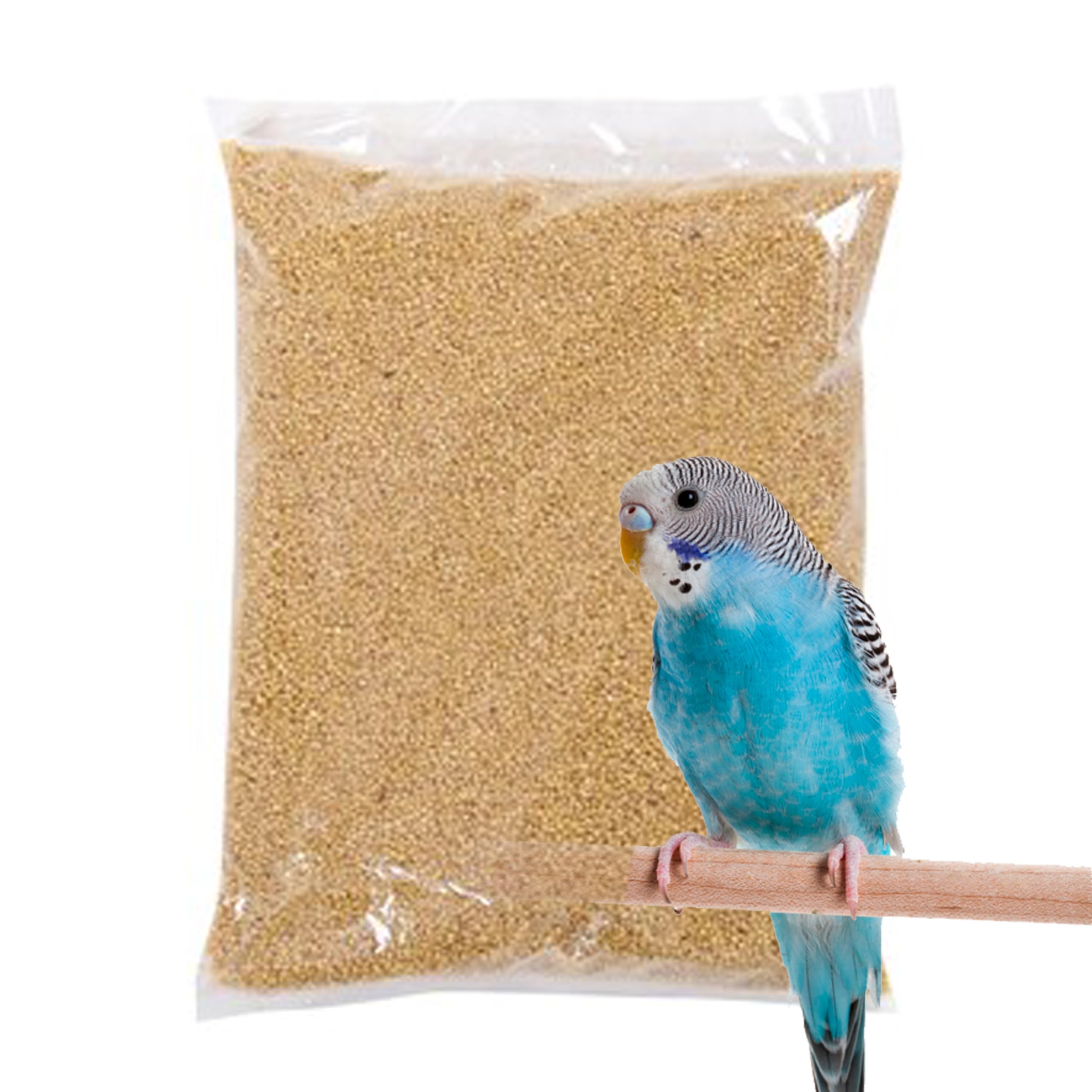 ASP Foxtail Millet (Kangni) 1 KG, Bird Food for All Life Stages Canary, Finches, Waxbills, Budgies, Lovebirds, Cockatiels, Parrots & Parakeets, (B0CYLKQ4V5) Amazon Price History, Amazon Price Tracker