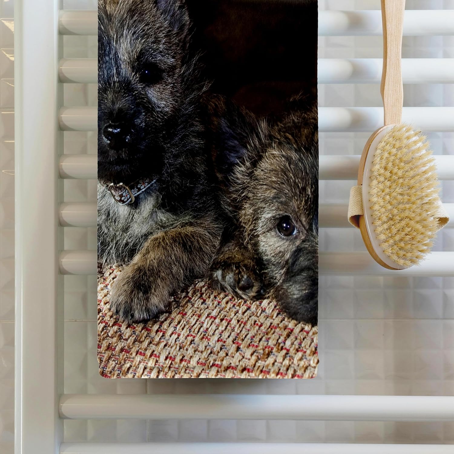3dRose Two Cairn Terrier Dogs on a tan Couch - NA02 ZMU0115 - Zandria Muench Beraldo 22x30 Bath Hand Pool Towel