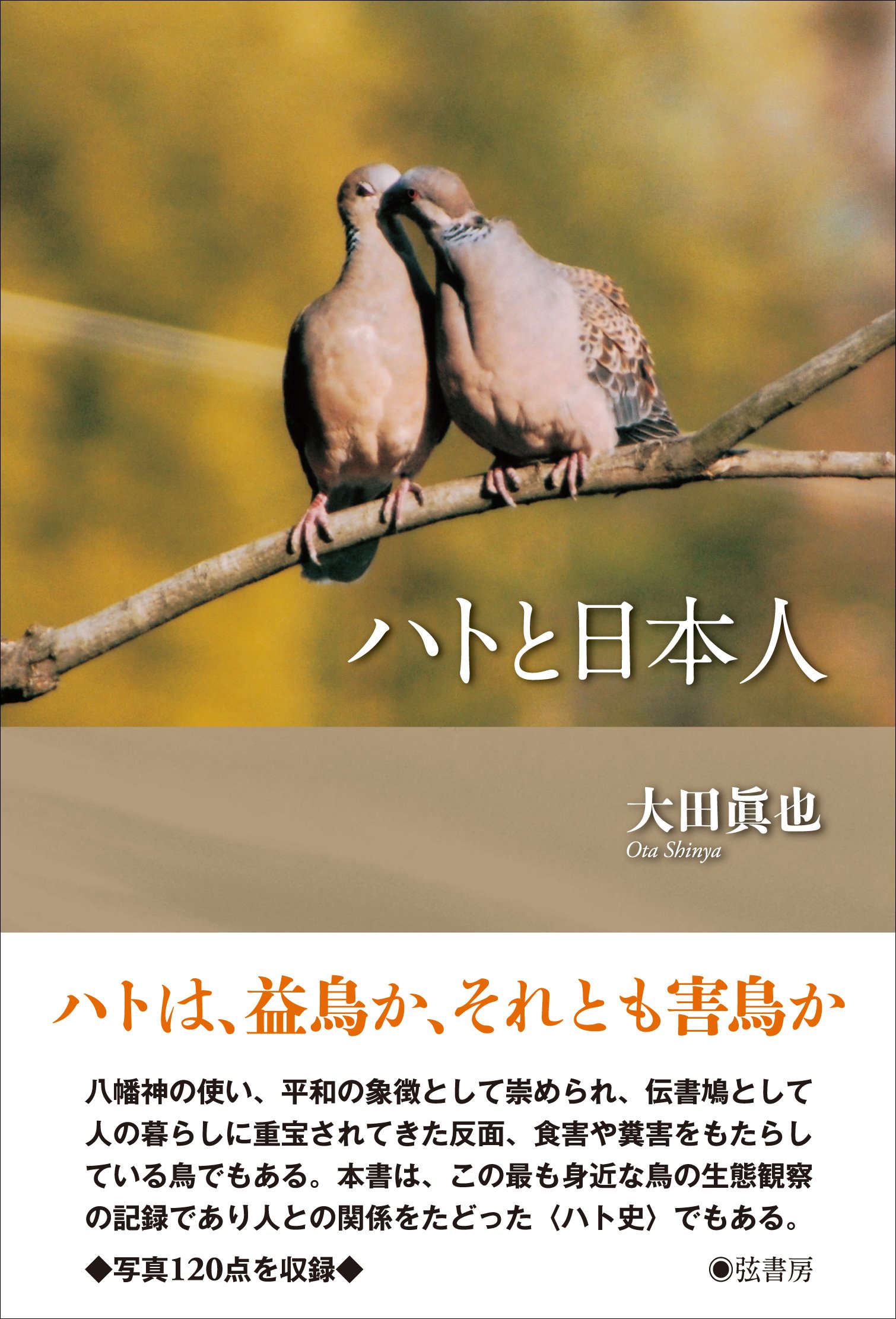 ハトと日本人 | 大田 眞也 |本 | 通販 | Amazon