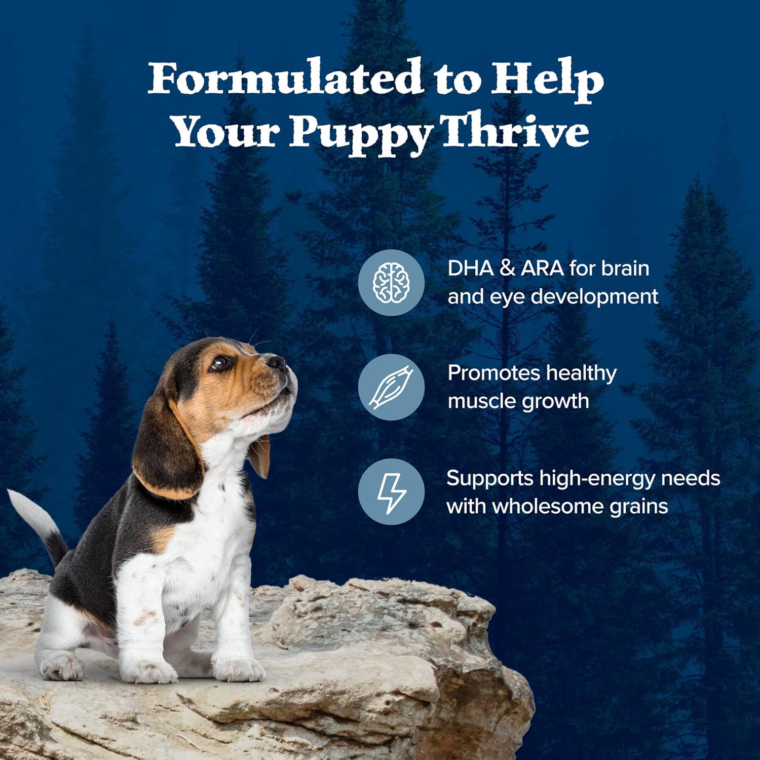 Blue Buffalo Wilderness High-Protein Natural Dry Food for Puppies, Chicken Recipe, 24-lb. Bag