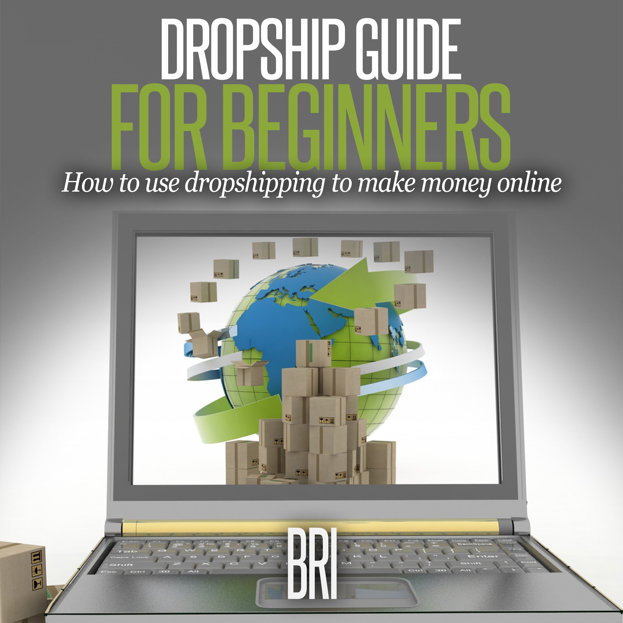 Cover art for Dropship Guide for Beginners