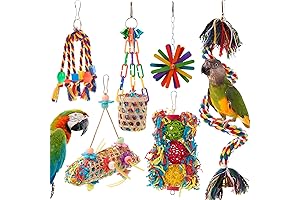 6-Pack Parrot Toys for Small Birds: A Colorful Haven for Chirpy Companions