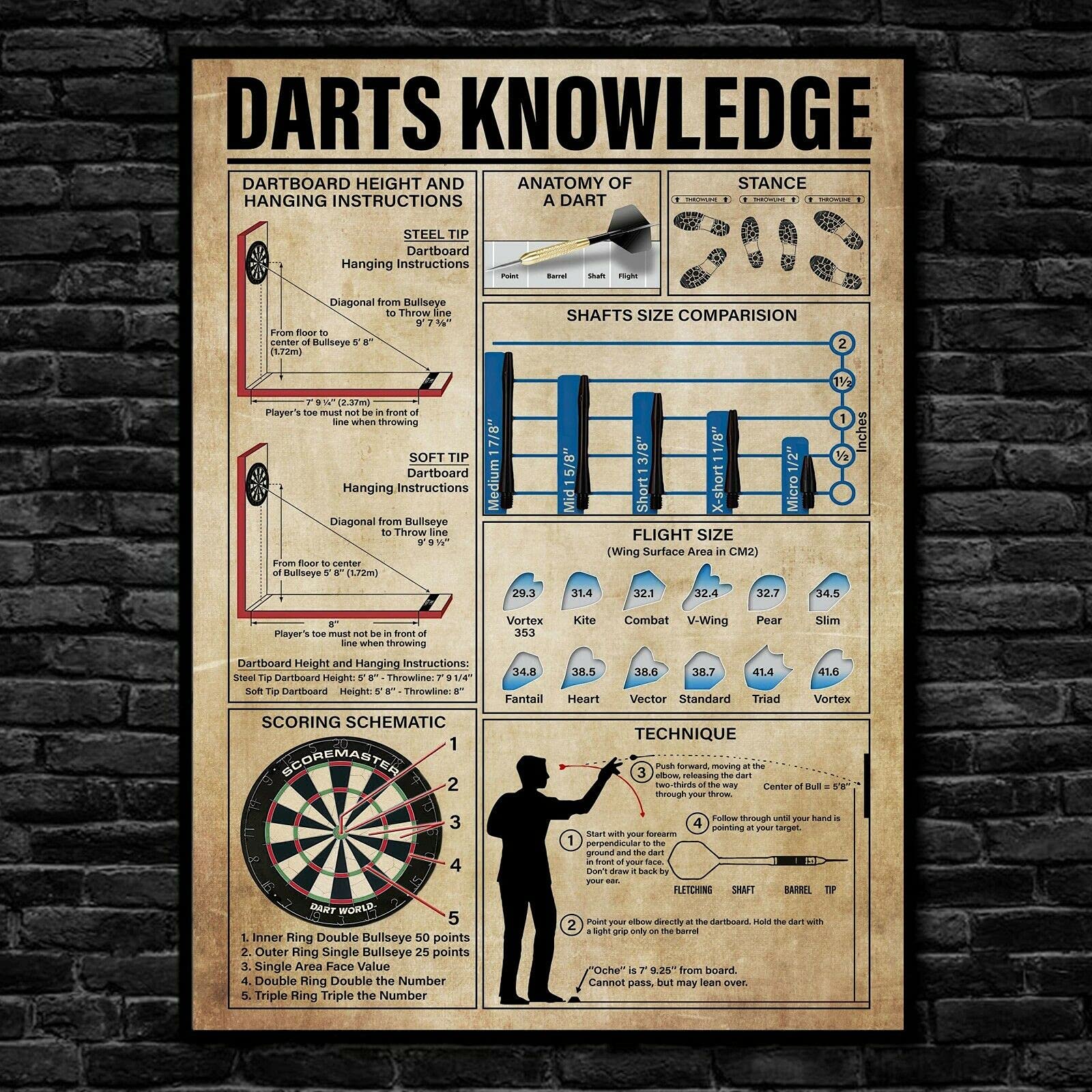 Darts Knowledge Metal Sign Wall Decor 8X12 Inch