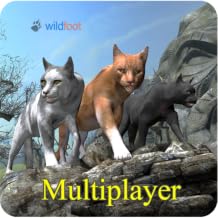 Cat Multiplayer