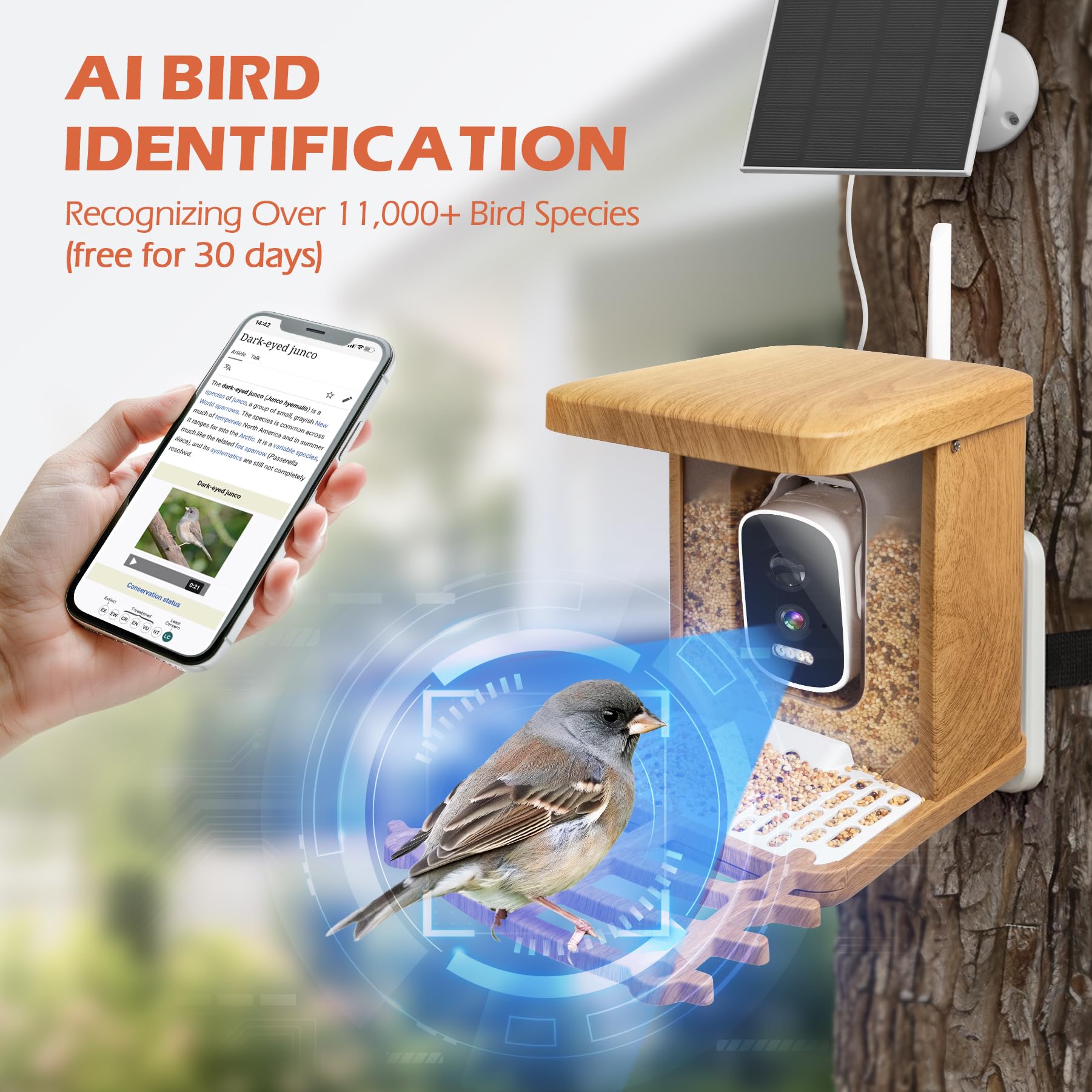 Alimentatore intelligente per uccelli con fotocamera, AI Identify 10000+ uccelli 2.5K HD pannello solare mangiatoie per uccelli selvatici per gli amanti degli uccelli, regalo esterno per gli amanti