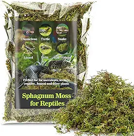 Sukh Musgo Sphagnum para Répteis - Musgo para Terrário de Répteis, Turfa para Répteis, Substrato para Habitat de Serpentes, Tartarugas, Rãs, Gecos e Outros Répteis (448 Gramas)