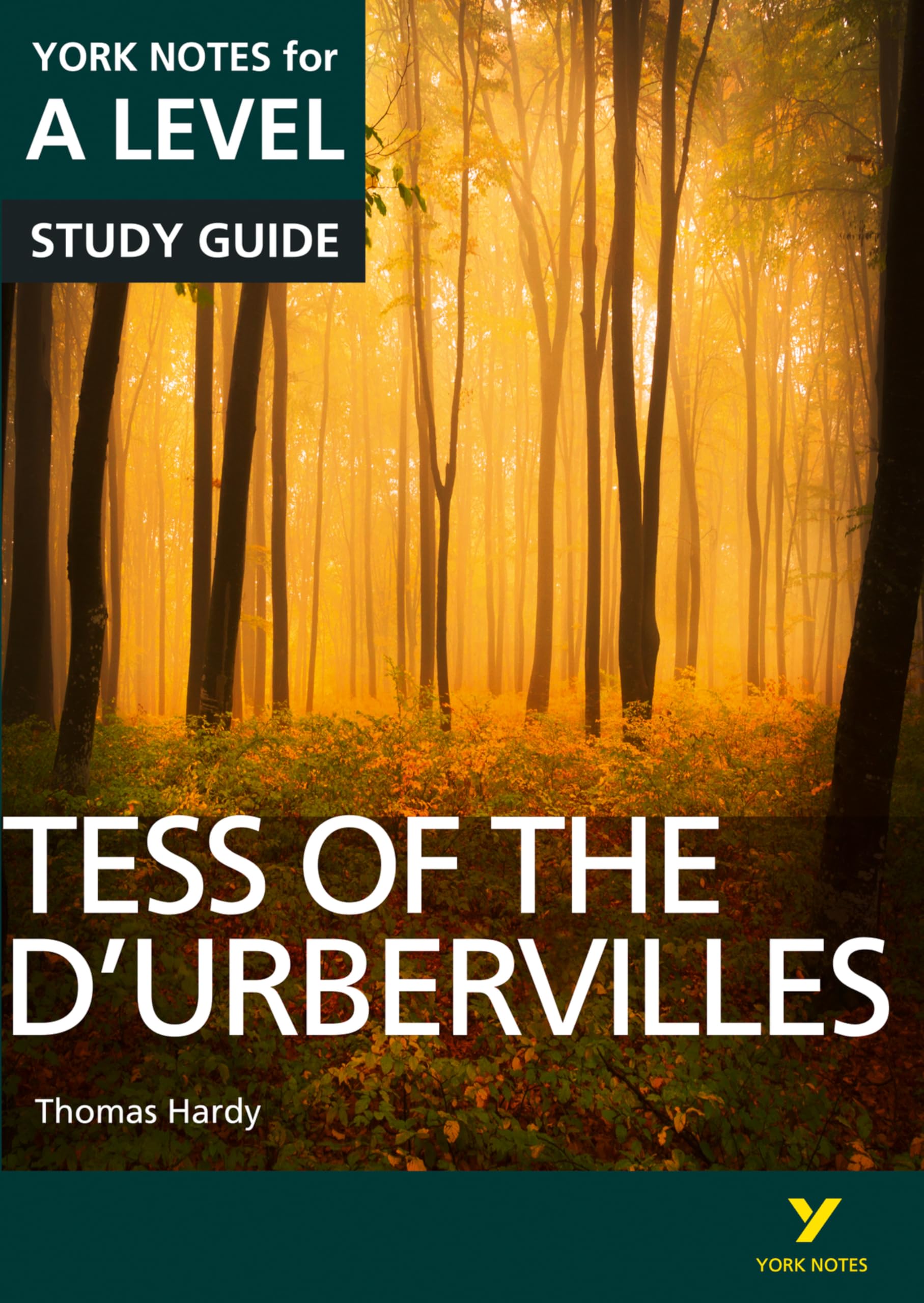 Tess of the DUrbervilles York Notes A-level English Literature Study Guide - ...