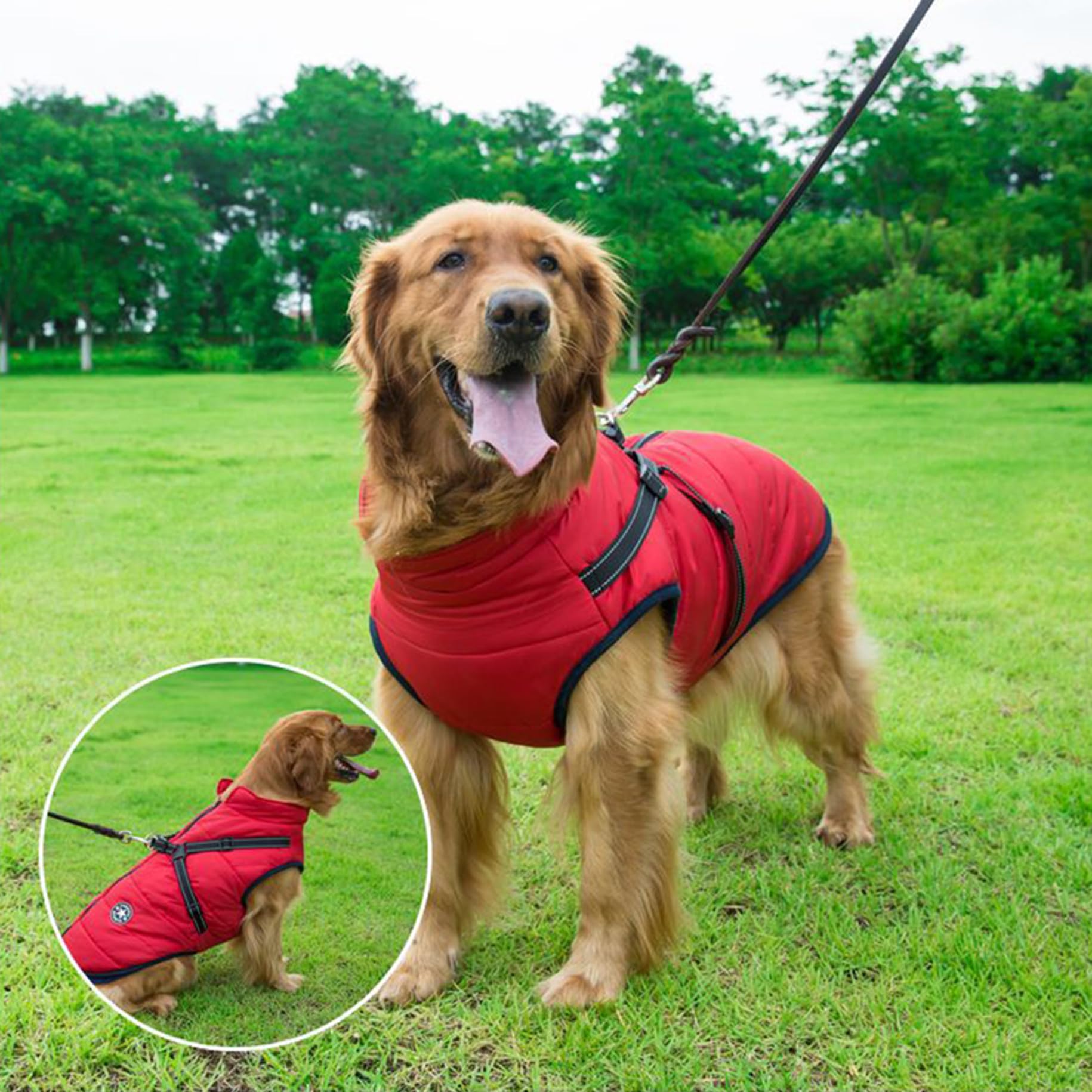 Abrigo para Perros Invierno - Invierno Abrigos Windproof Ropa para Mascotas Chaqueta para Perros con Forro Polar,Rojo,L