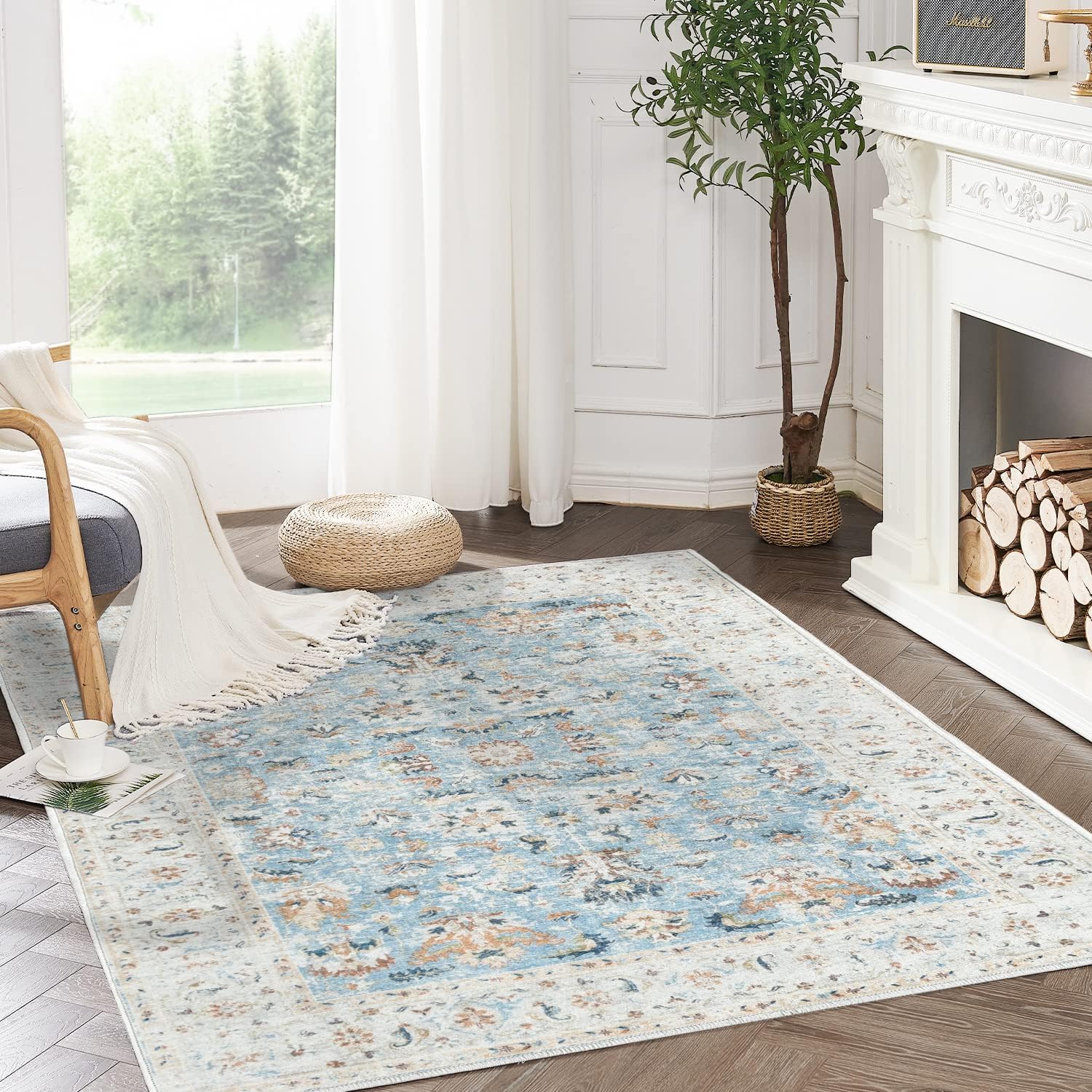 COLLACT 4x6 Area Rug Vintage Distressed Rug Living Room