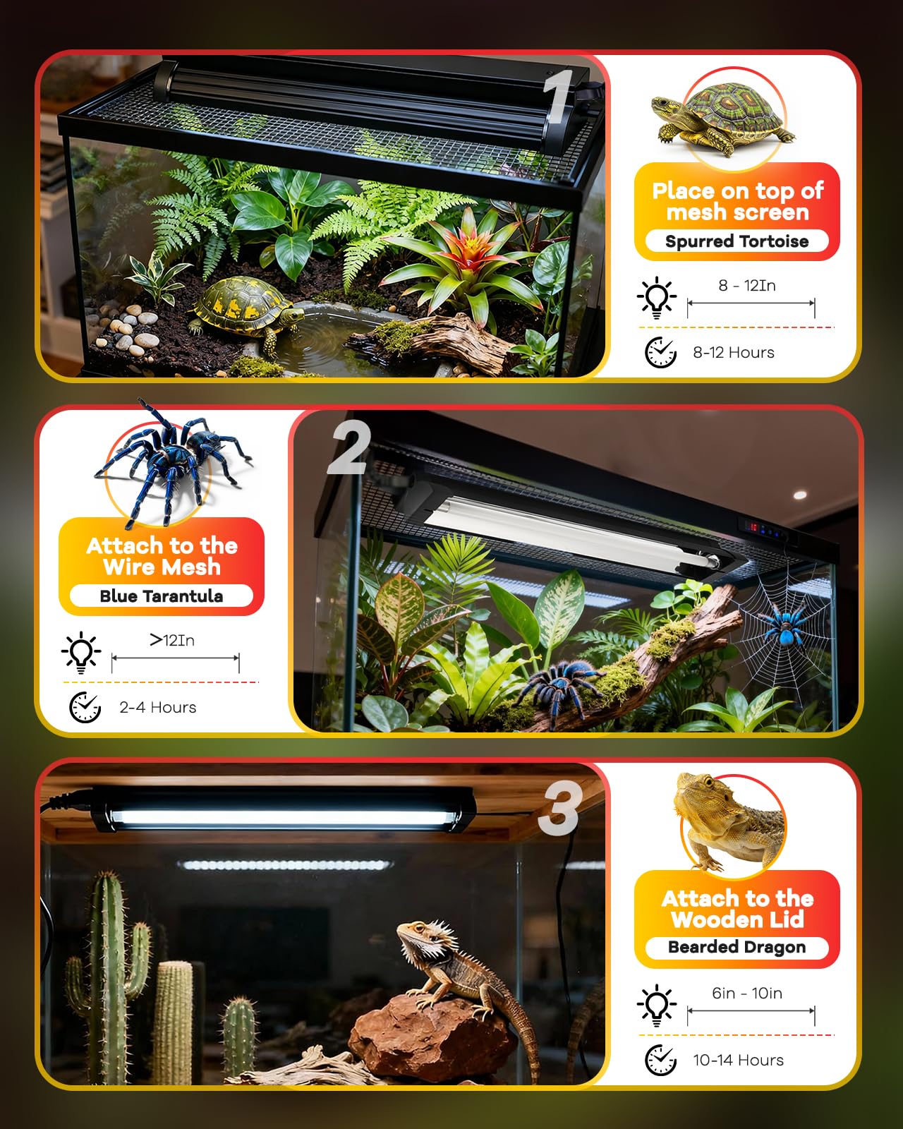 Haceryc UVB Light for Reptile 8W, T5 UVB Reptile Light Fixture HO Combo Kit with Test Sensor Cards, 12" High Output Reptiles Light Bar UVA UVB Desert Lamp for Turtle Lizard Bearded Dragon Tank - image 6
