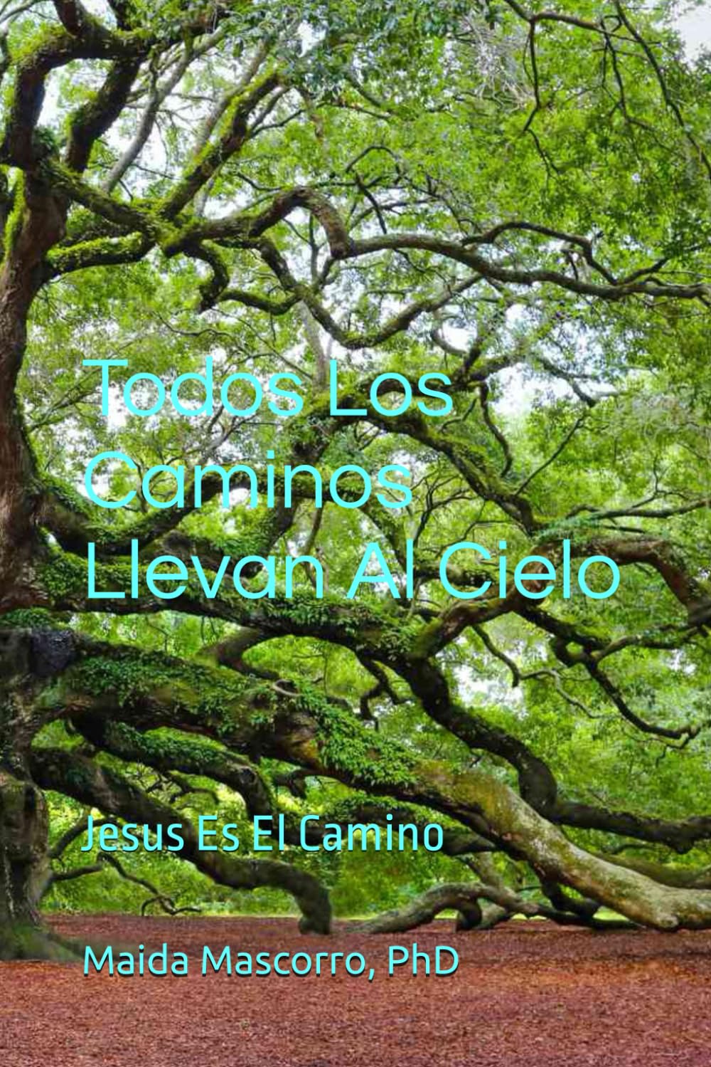 Todos Los Caminos Llevan Al Cielo: Jesus Es El Camino