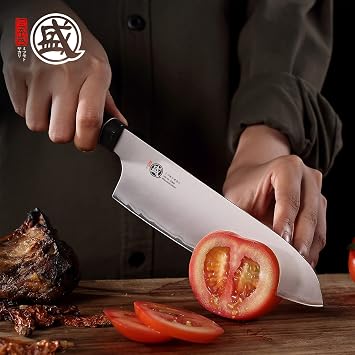 Professional Knife Sharpener & Japanese Santoku Chef Knife