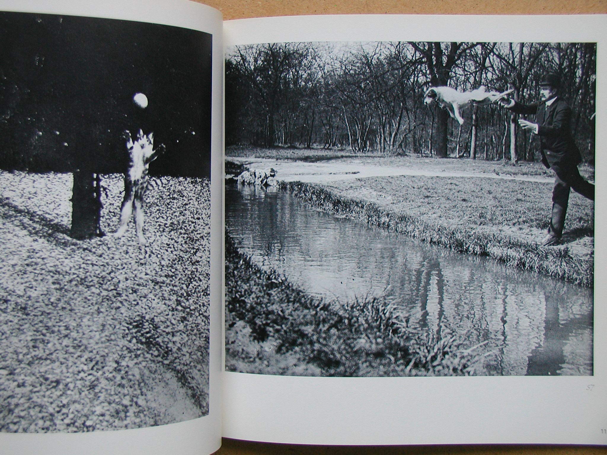 Amazon.co.jp: Jacques-Henri Lartigue: 本、バイオグラフィー、最新