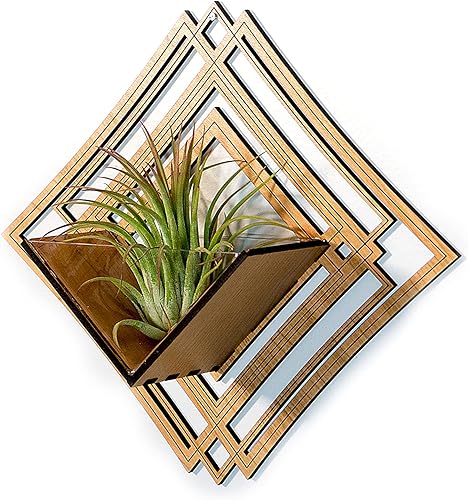 Miniatura 10 de Wall Hanging Planter 5  Maple - Air Plant Holder, Plant Hanger for Tillandsia, Succulents, Cactus - Display Aerium Indoor Home Deco